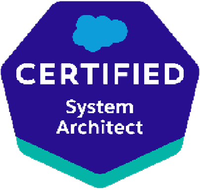 System Architect